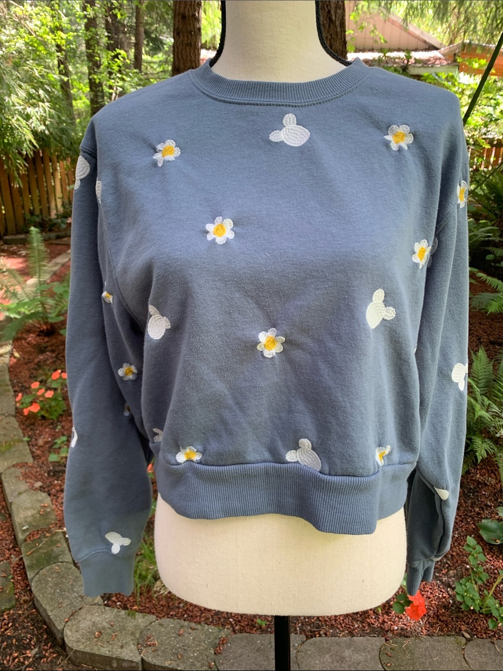Disney Blue Floral Embroidered Cropped Sweatshirt